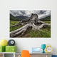 Old stump Wall Mural