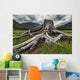 Old stump Wall Mural