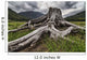 Old stump Wall Mural