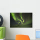 Aurora Borealis, or Northern Lights, along the Dempster Highway Wall Mural