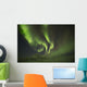 Aurora Borealis, or Northern Lights, along the Dempster Highway Wall Mural