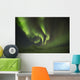 Aurora Borealis, or Northern Lights, along the Dempster Highway Wall Mural