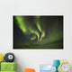 Aurora Borealis, or Northern Lights, along the Dempster Highway Wall Mural
