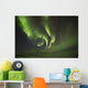 Aurora Borealis, or Northern Lights, along the Dempster Highway Wall Mural