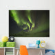 Aurora Borealis, or Northern Lights, along the Dempster Highway Wall Mural