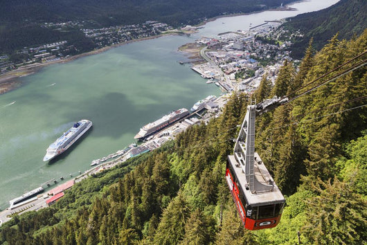 View of the Mount Roberts Tramway above Juneau and cruise ships Wall Mural