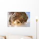 Ice caves on Lake Superior, near Bayfield Wall Mural