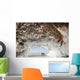 Ice caves on Lake Superior, near Bayfield Wall Mural