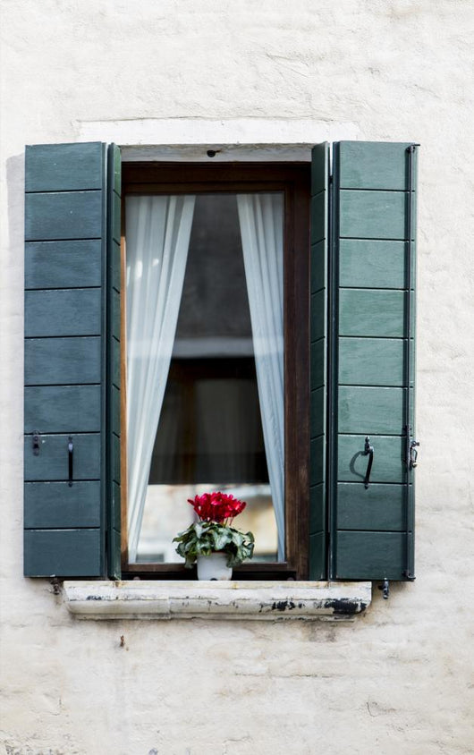 Window