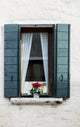 Window