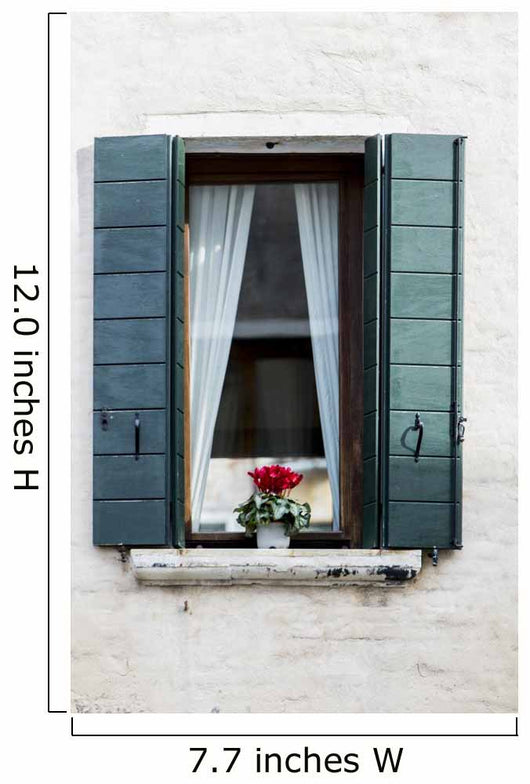 Window