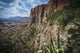 Rugged cliffs and plants on a landscape Wall Mural