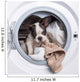 French Bulldog Puppy inside