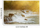 Brown bears gathered at Brooks Falls to fish for salmon Wall Mural