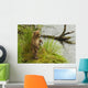 Brown bear cub standing in grass at edge of Brooks River in rain Wall Mural