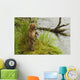 Brown bear cub standing in grass at edge of Brooks River in rain Wall Mural
