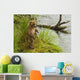 Brown bear cub standing in grass at edge of Brooks River in rain Wall Mural