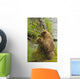 Brown bear cubs standing upright on a grassy bank of Brooks River Wall Mural