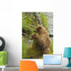 Brown bear cubs standing upright on a grassy bank of Brooks River Wall Mural