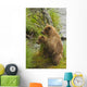 Brown bear cubs standing upright on a grassy bank of Brooks River Wall Mural