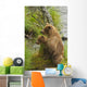 Brown bear cubs standing upright on a grassy bank of Brooks River Wall Mural