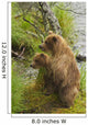 Brown bear cubs standing upright on a grassy bank of Brooks River Wall Mural