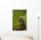 Brown bear cub sitting on grassy bank of Brooks River Wall Mural