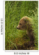 Brown bear cub sitting on grassy bank of Brooks River Wall Mural