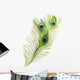 Peacock Feathers