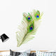 Peacock Feathers