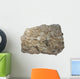 Fossiliferous Limestone