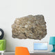 Fossiliferous Limestone