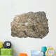 Fossiliferous Limestone