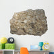 Fossiliferous Limestone