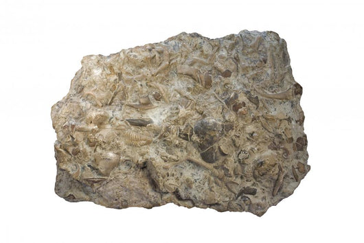 Micritic Rocks Micritic Limestone