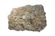 Fossiliferous Limestone