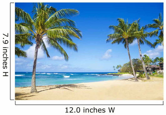 Palm Trees on the Sandy Beach Wall Mural