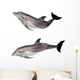 isolated on white two grey doplhins Wall Decal