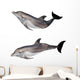 isolated on white two grey doplhins Wall Decal