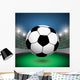 Fussballfeld Wall Mural