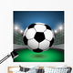 Fussballfeld Wall Mural