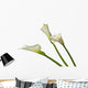Three Calla Lilies Wall Decal