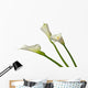 Three Calla Lilies Wall Decal