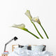 Three Calla Lilies Wall Decal