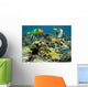 Healthy Coral Reef with