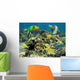 Healthy Coral Reef with