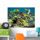 Healthy Coral Reef with