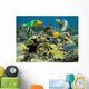 Healthy Coral Reef with