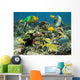 Healthy Coral Reef with