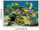 Healthy Coral Reef with